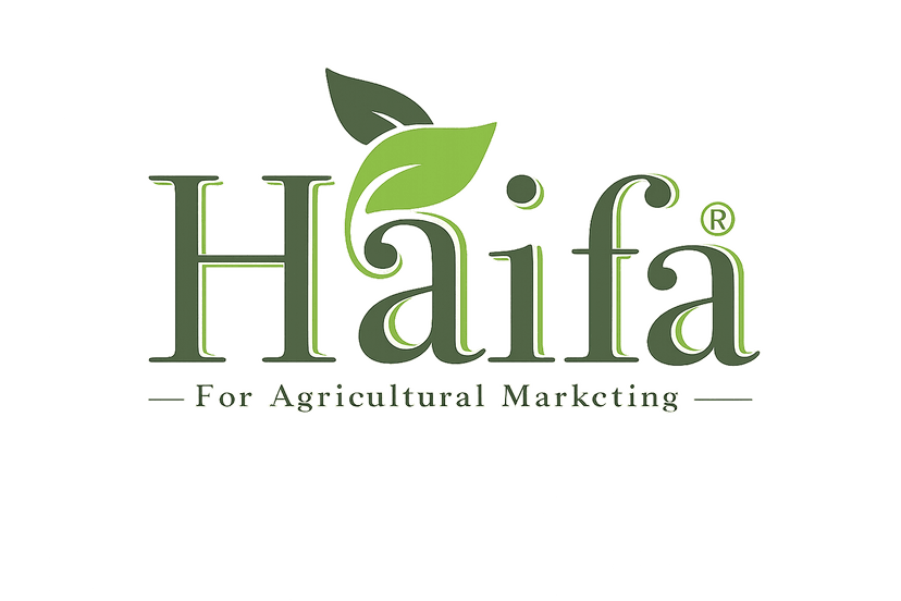 Haifa.brand.color